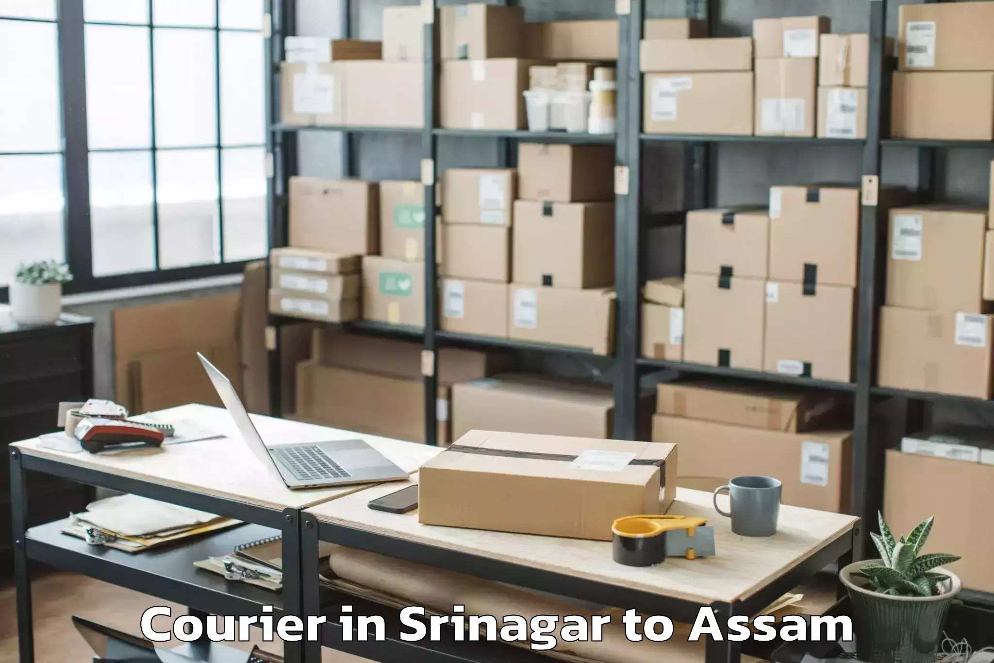 Reliable Srinagar to Lalapur Hailakandi Courier